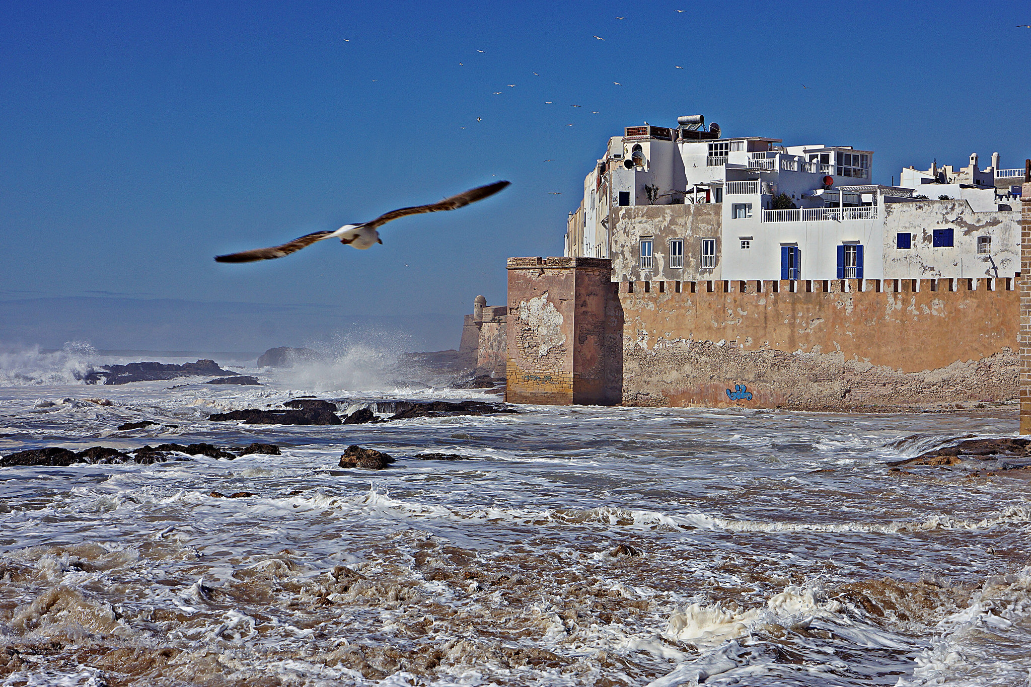 essaouira 