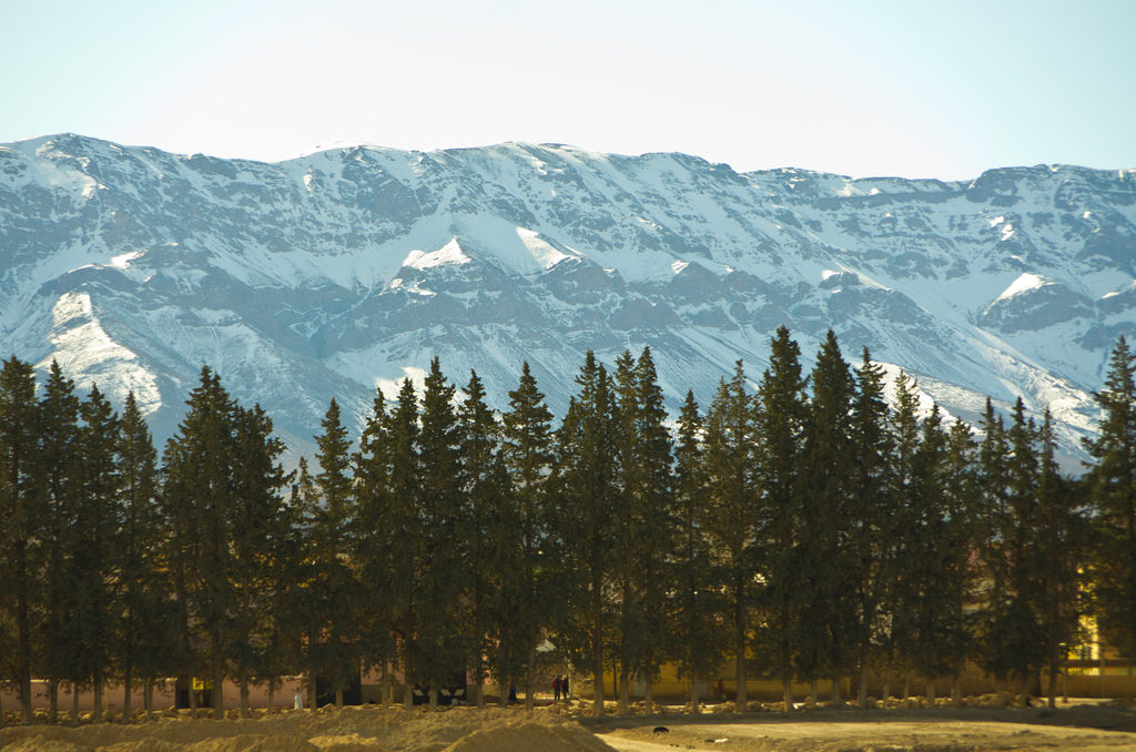 ifrane national park