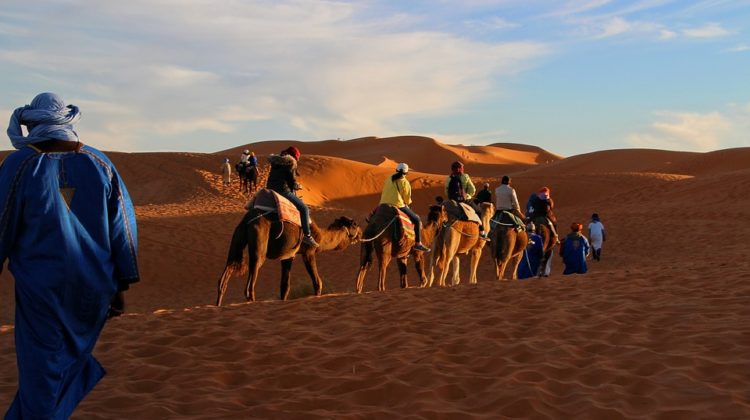 Moroccan Sahara