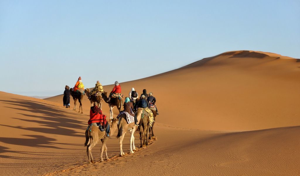 Sahara Camel  Ride
