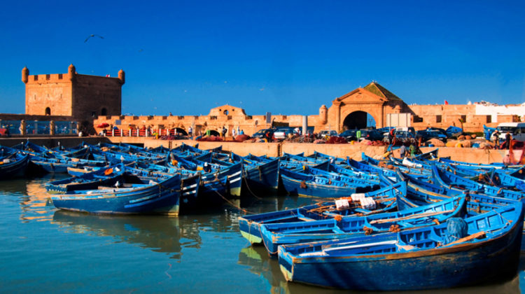 Essaouira fishing port